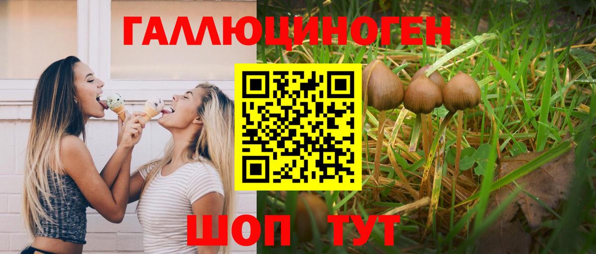Галлюциногенные грибы ЛСД Гусев